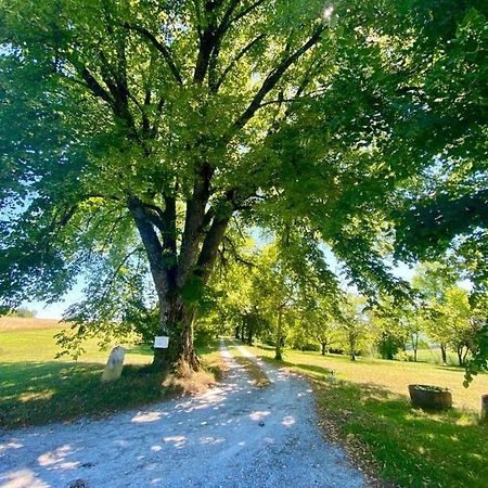 Gite De L'Edelinie Nanteuil-Auriac-de-Bourzac Buitenkant foto