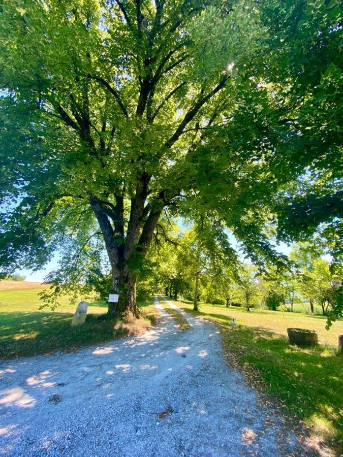 Gite De L'Edelinie Nanteuil-Auriac-de-Bourzac Buitenkant foto